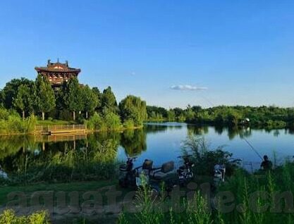 下载糖心app视频-解锁娱乐新视界，探寻下载糖心app视频的乐趣